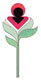 paragraph image