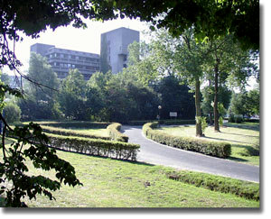 paragraph image