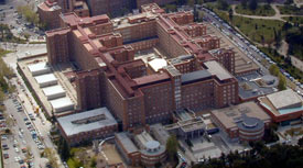 paragraph image