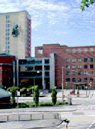 paragraph image