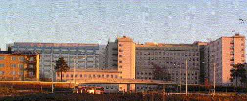 paragraph image