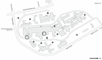 paragraph image