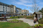 paragraph image